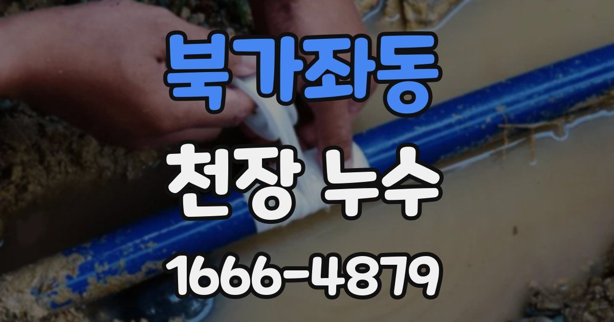 북가좌동 천장 누수