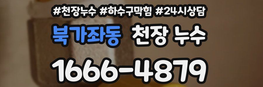 북가좌동 천장 누수