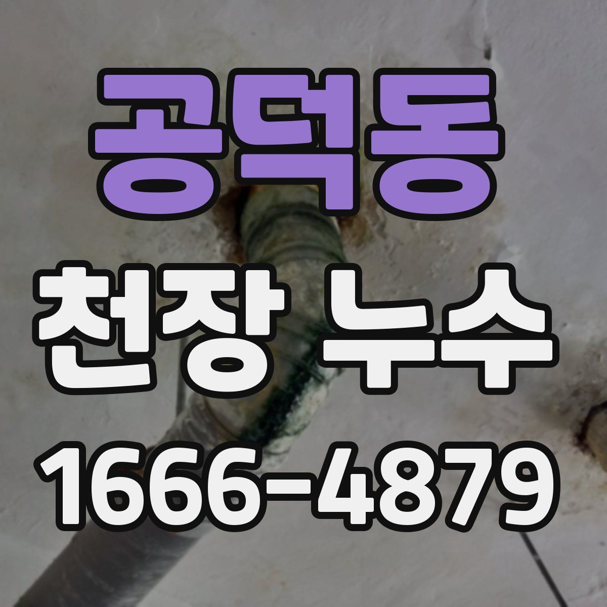 공덕동 천장 누수