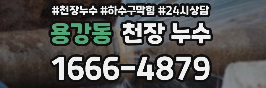 용강동 천장 누수