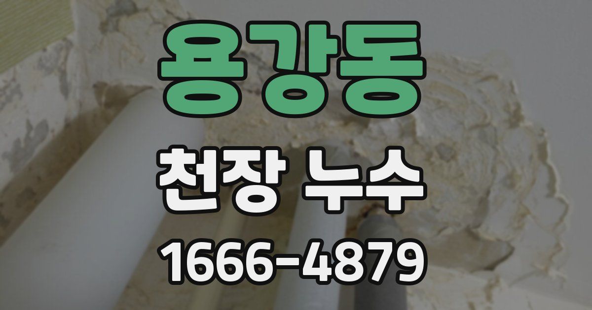 용강동 천장 누수