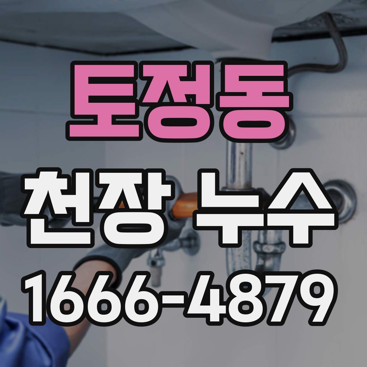 토정동 천장 누수