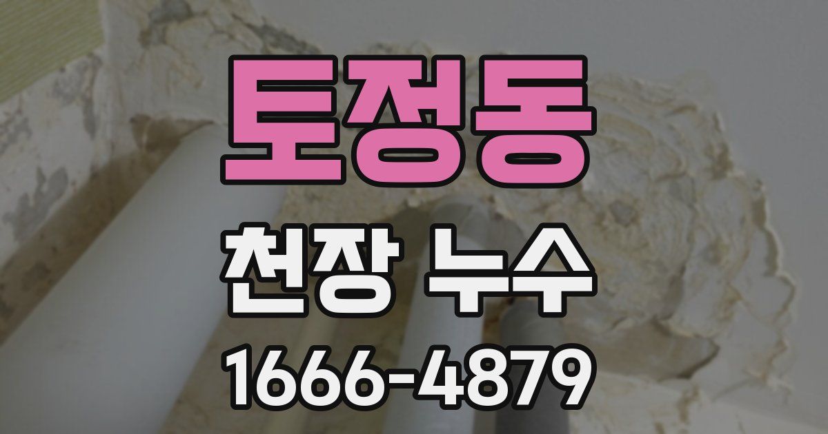 토정동 천장 누수