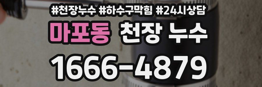 마포동 천장 누수