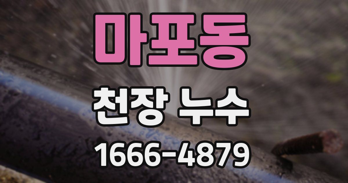 마포동 천장 누수