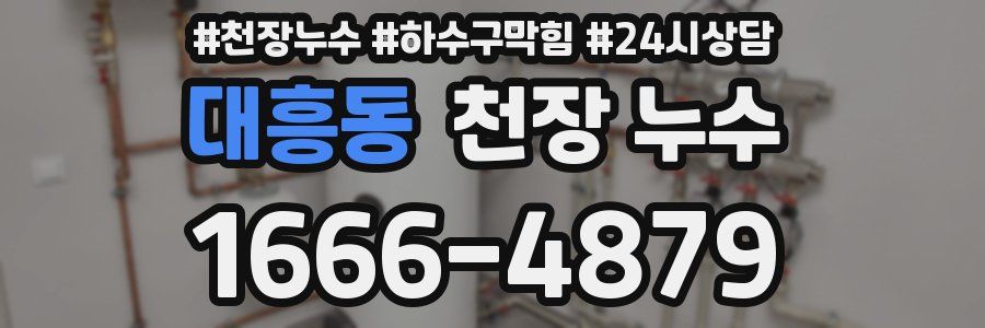 대흥동 천장 누수