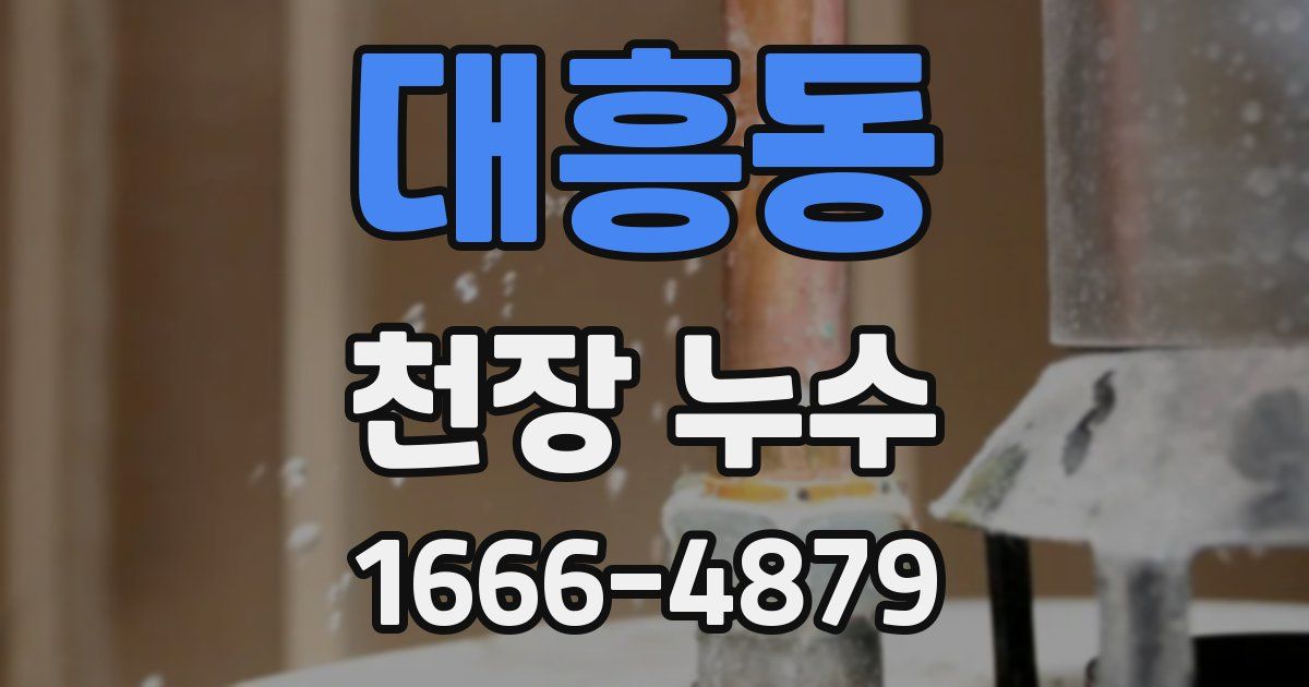 대흥동 천장 누수