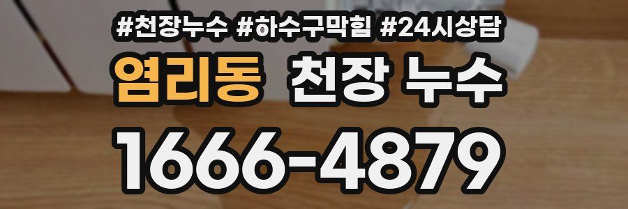 염리동 천장 누수