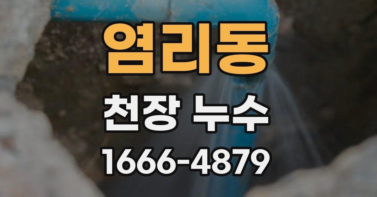 염리동 천장 누수