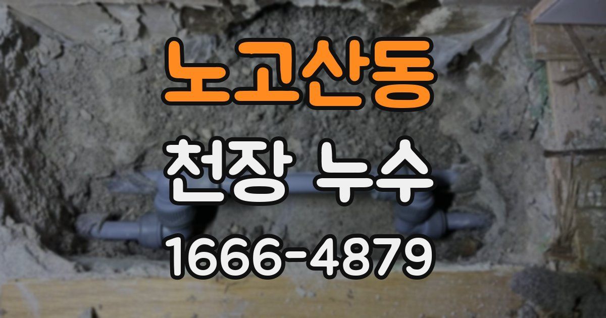 노고산동 천장 누수