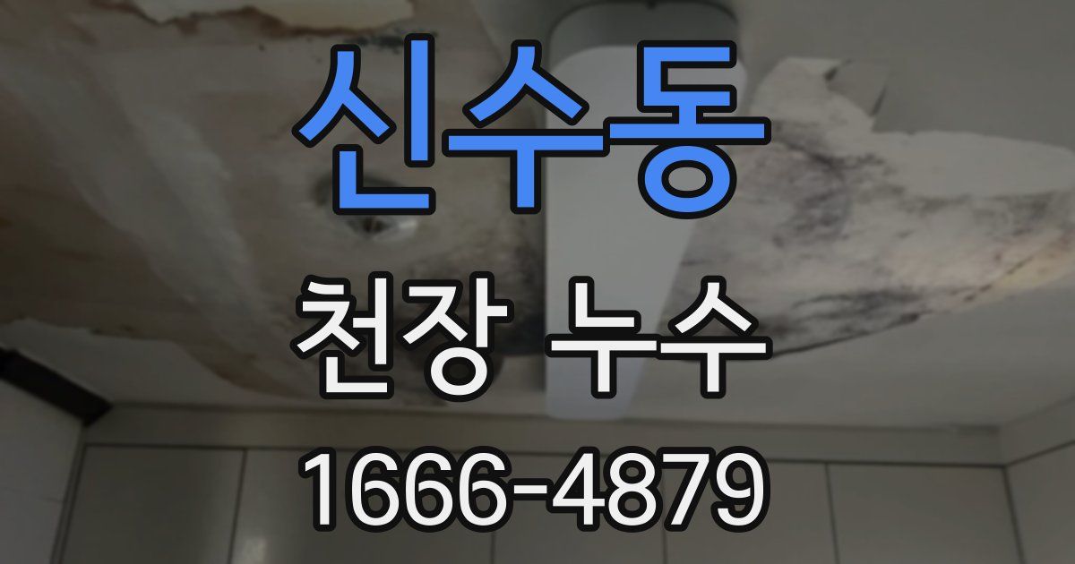 신수동 천장 누수