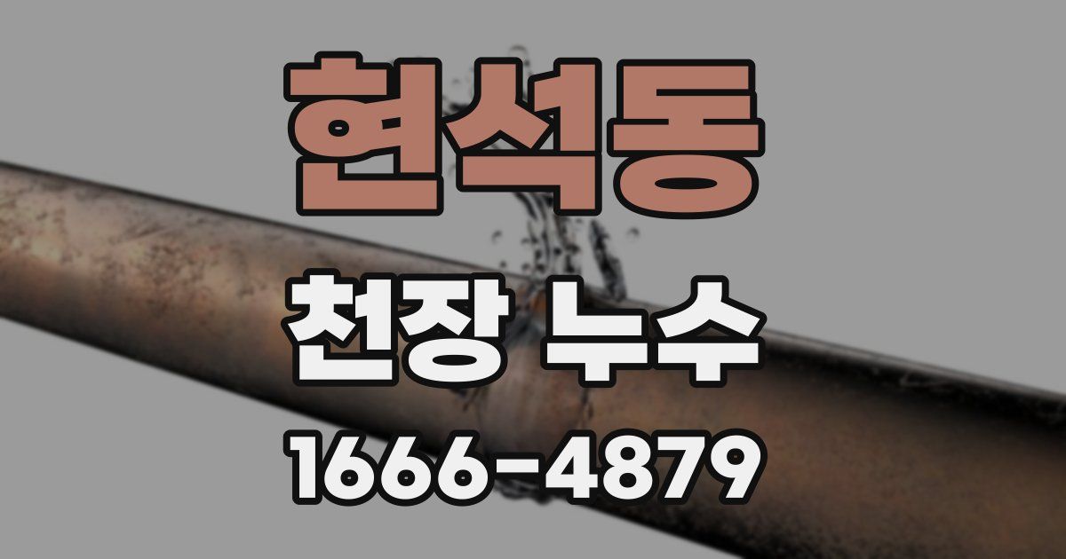 현석동 천장 누수