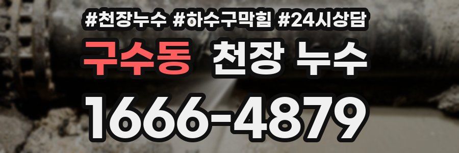 구수동 천장 누수