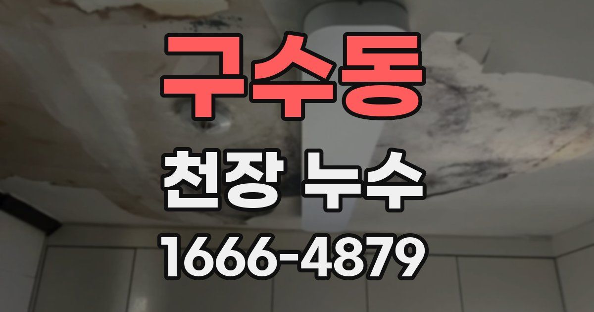 구수동 천장 누수