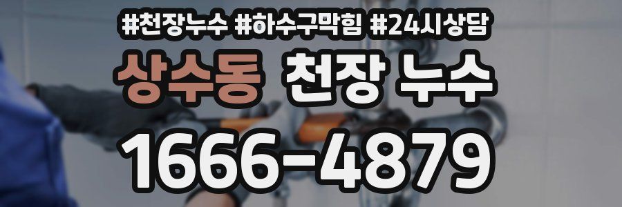 상수동 천장 누수