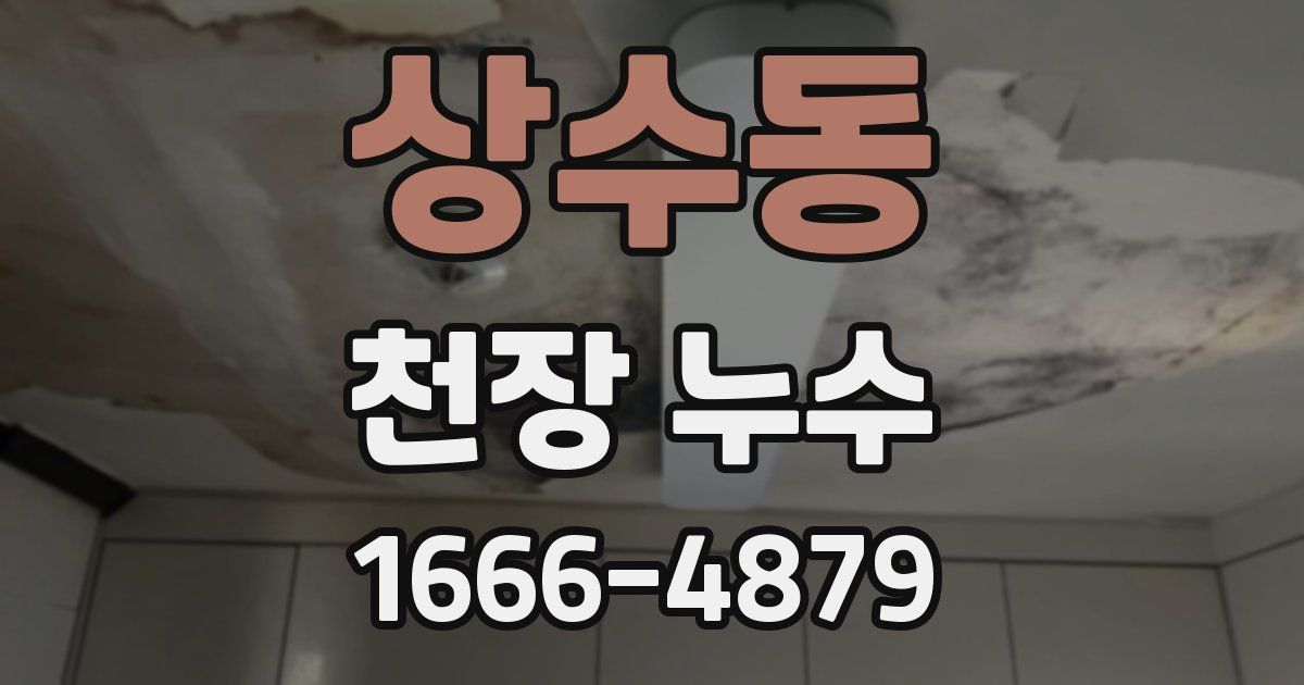 상수동 천장 누수