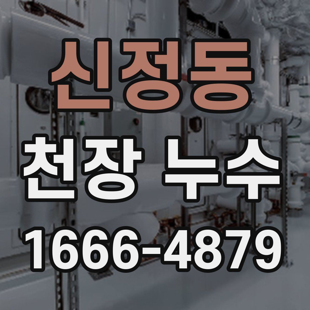 신정동 천장 누수