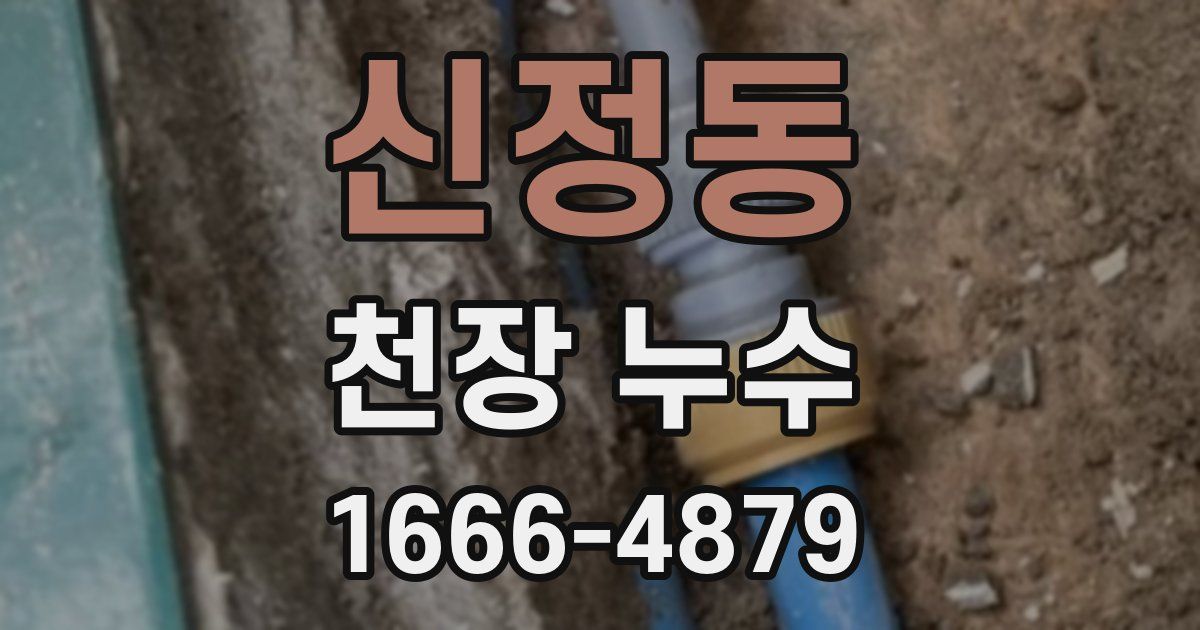 신정동 천장 누수