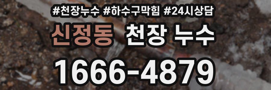 신정동 천장 누수