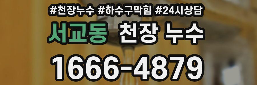 서교동 천장 누수