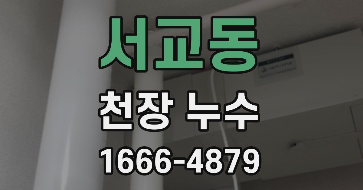 서교동 천장 누수