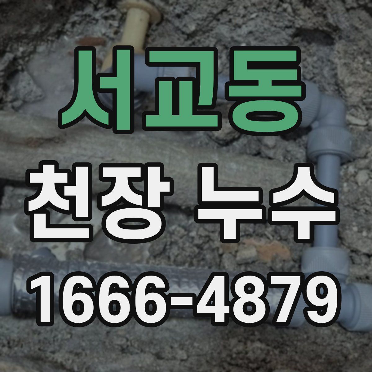 서교동 천장 누수