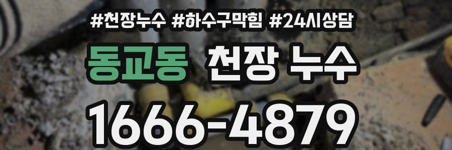 동교동 천장 누수