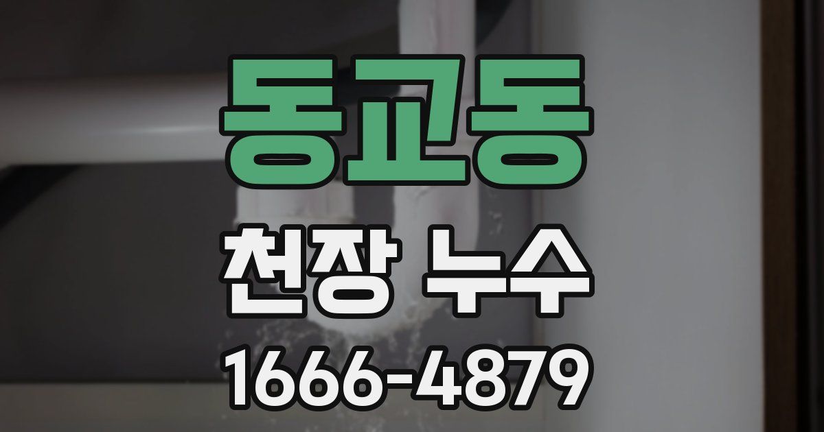 동교동 천장 누수