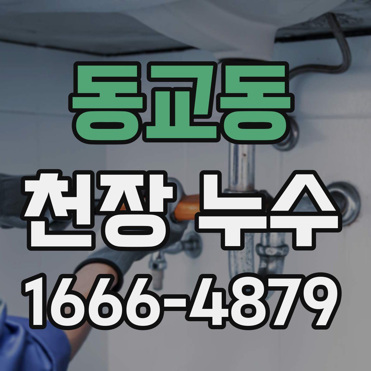 동교동 천장 누수