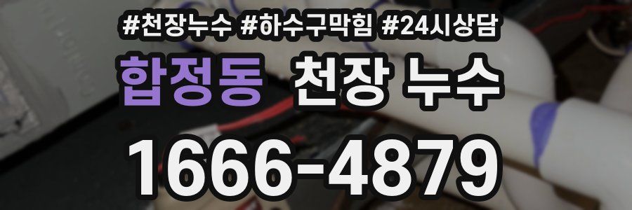 합정동 천장 누수