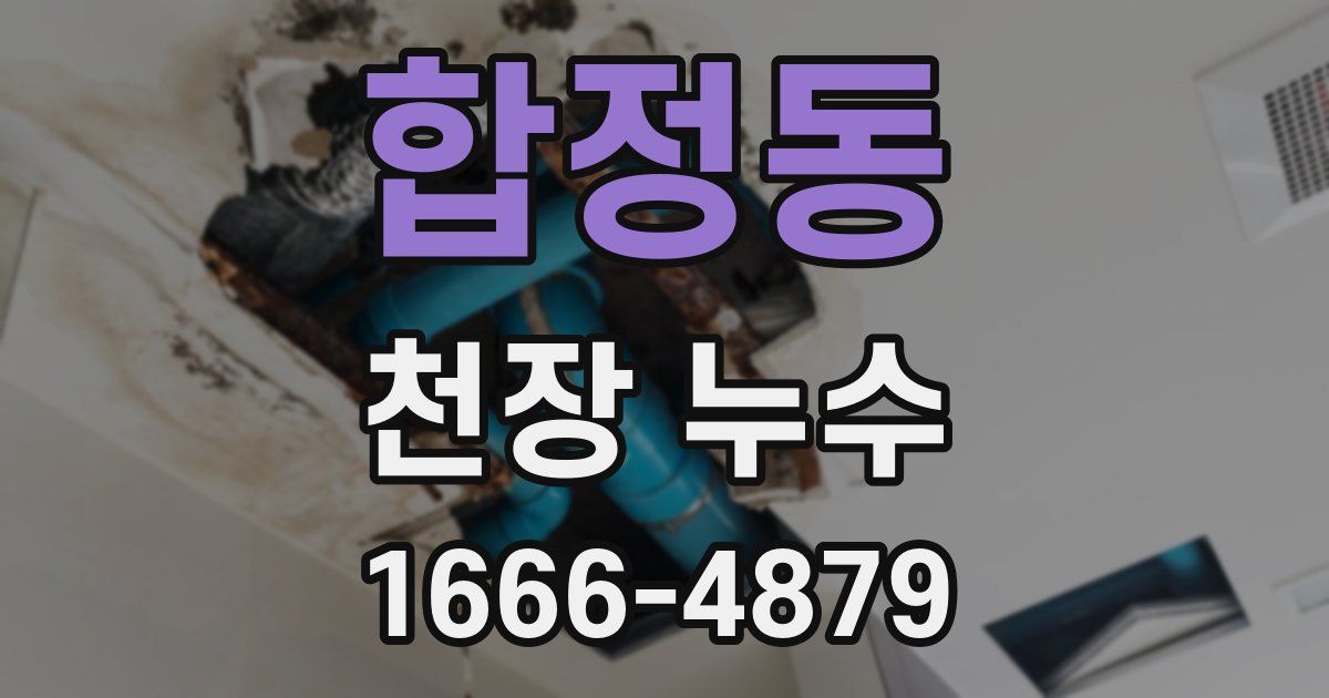 합정동 천장 누수