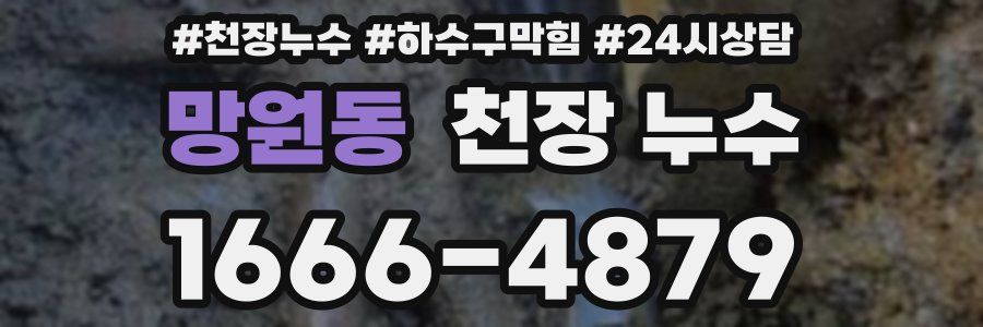망원동 천장 누수