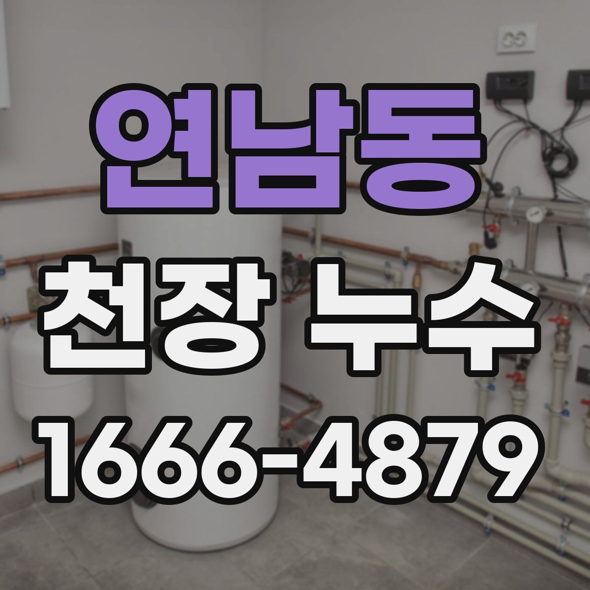 연남동 천장 누수