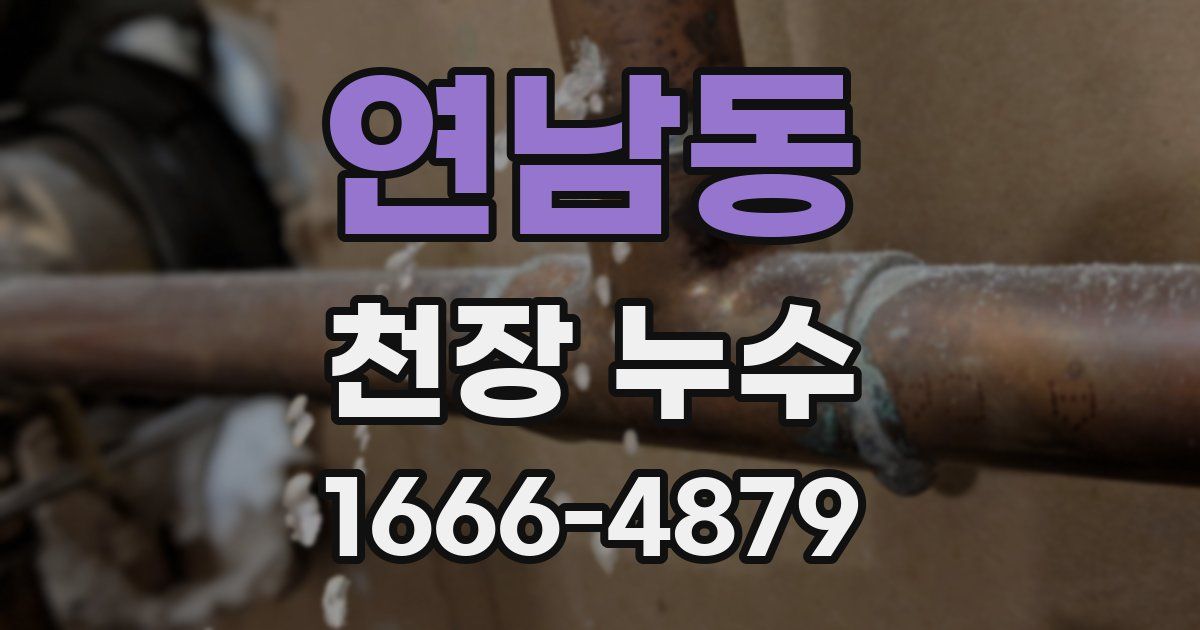 연남동 천장 누수
