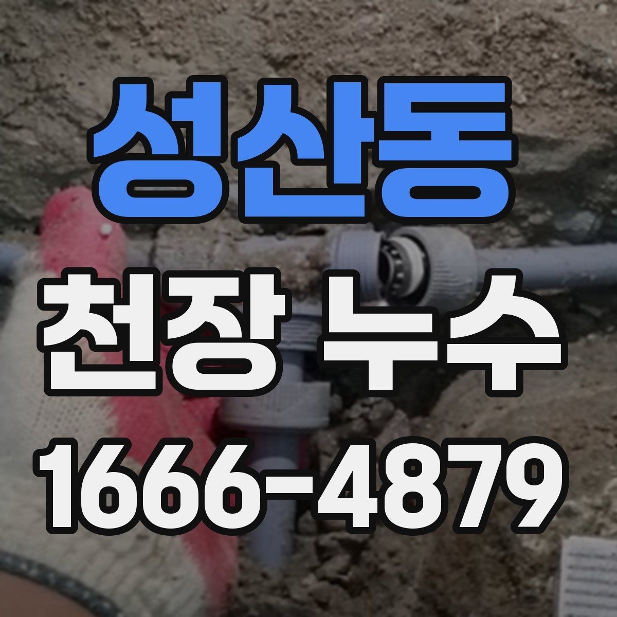 성산동 천장 누수 배수구 역류가 천장 누수처럼 보일 수 있을까