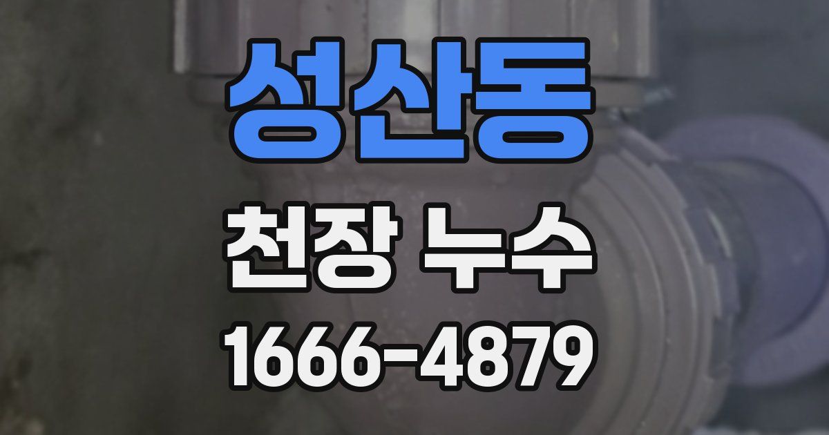 성산동 천장 누수