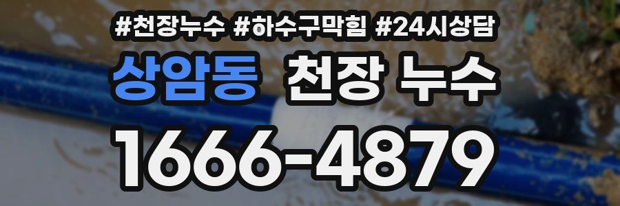 상암동 천장 누수