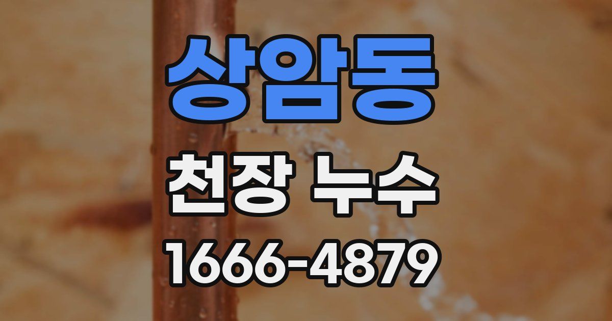 상암동 천장 누수