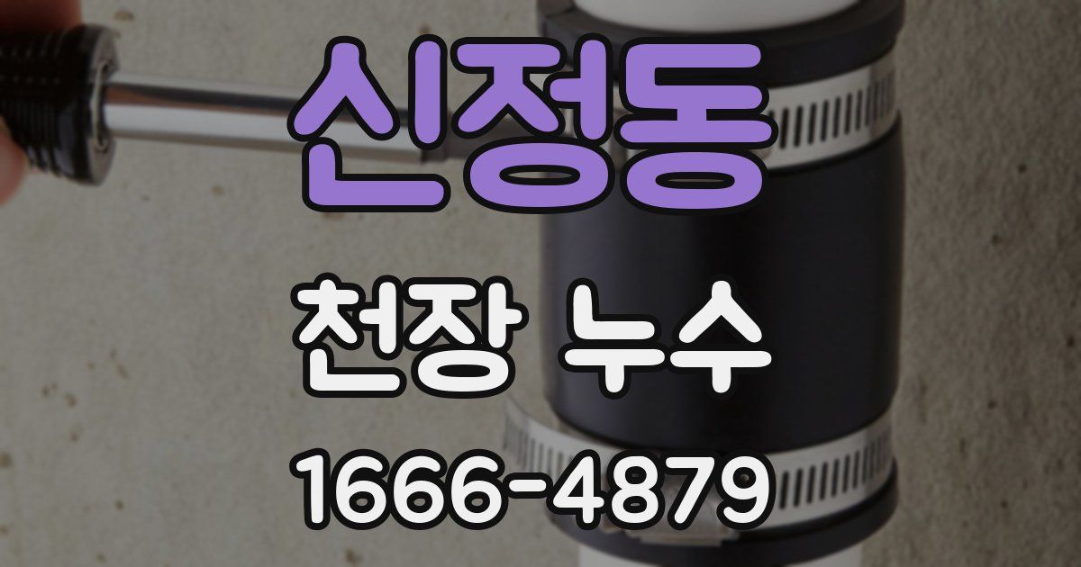 신정동 천장 누수