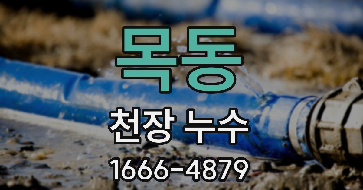 목동 천장 누수