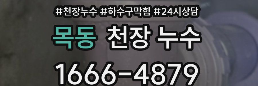 목동 천장 누수