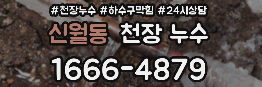 신월동 천장 누수