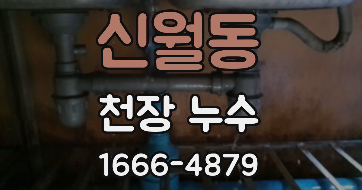 신월동 천장 누수