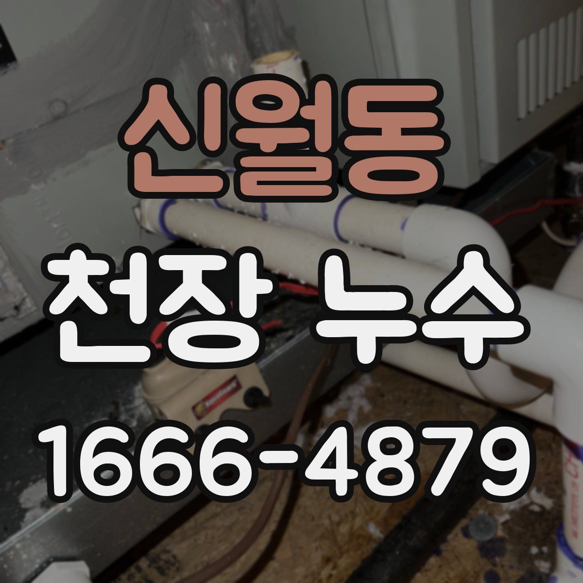 신월동 천장 누수