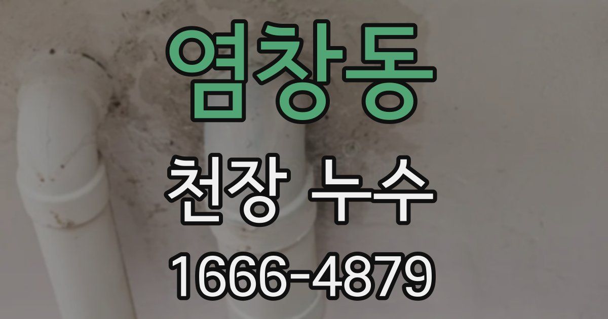 염창동 천장 누수