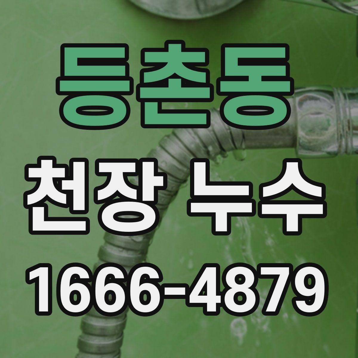 등촌동 천장 누수