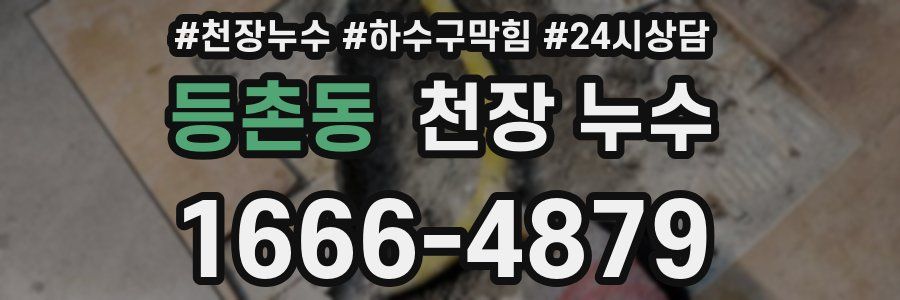 등촌동 천장 누수