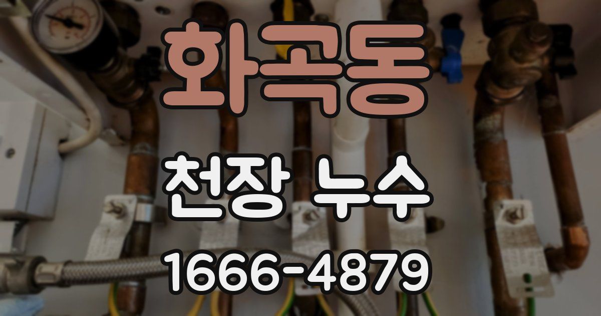 화곡동 천장 누수