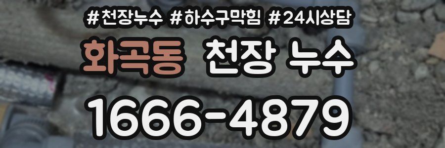 화곡동 천장 누수