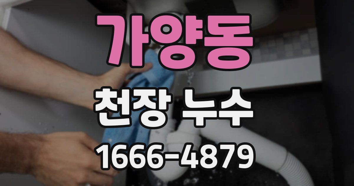 가양동 천장 누수